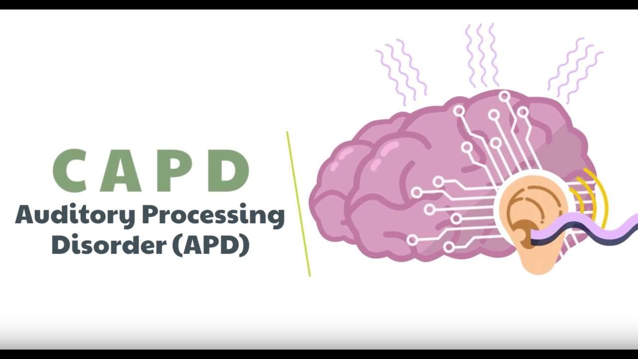 Image from youtube Fauquier ENT.<br />
Central auditory processing disorder or CAPD is a neurological deficit that affects how the brain processes spoken language and is estimated to affect about 5% of the human population.</p>
<p>Our clients have purchased our soundfield systems, voice amplifers and personal fm systems to better assist students with CAPD.